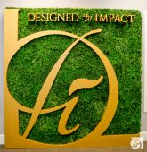 Designed to Impact 2017